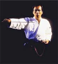 Práctica de Aikido en el tatami